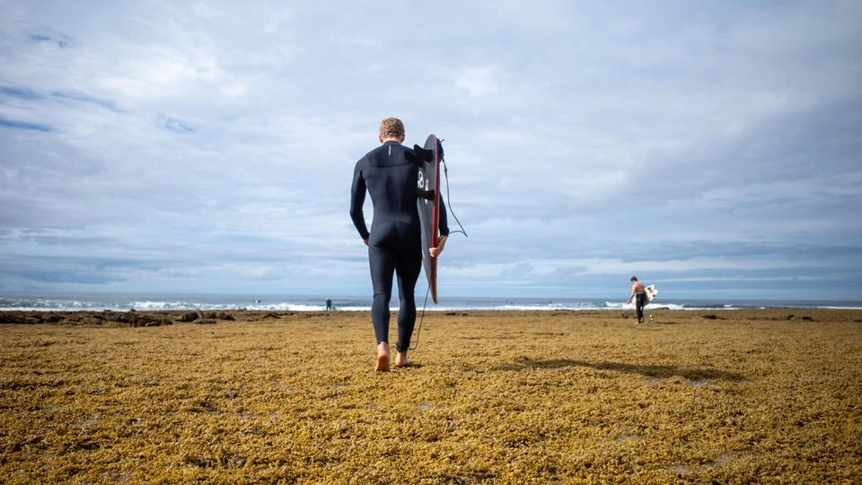 Neoprene & Rashguards