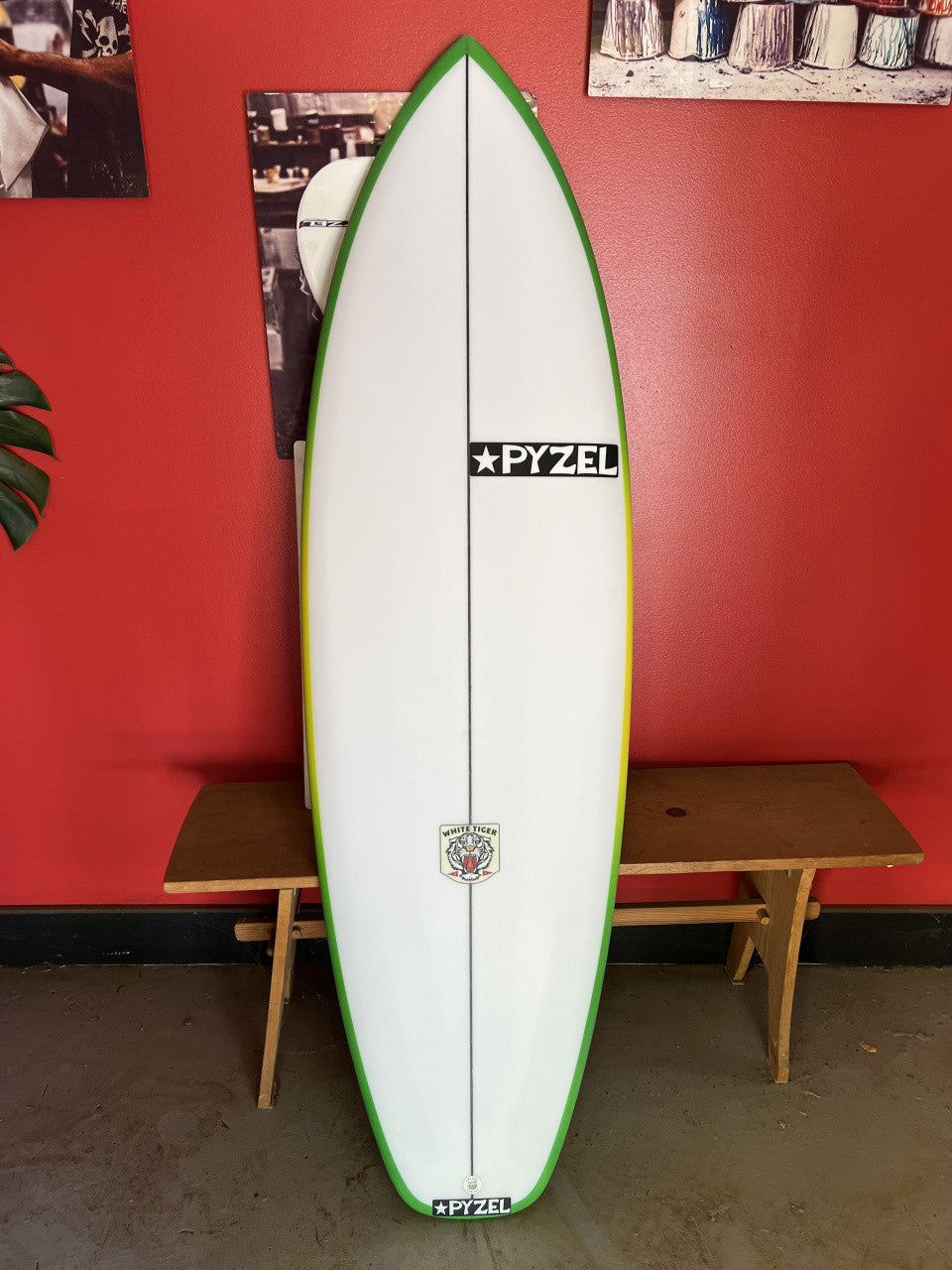 White Tiger | 5'6