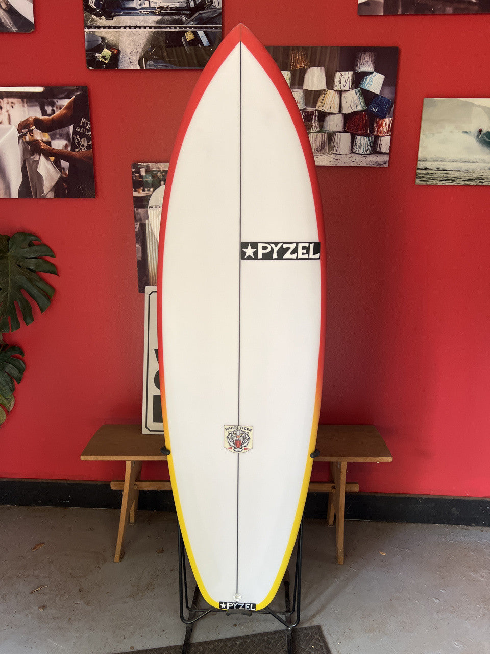 White Tiger | 5'6