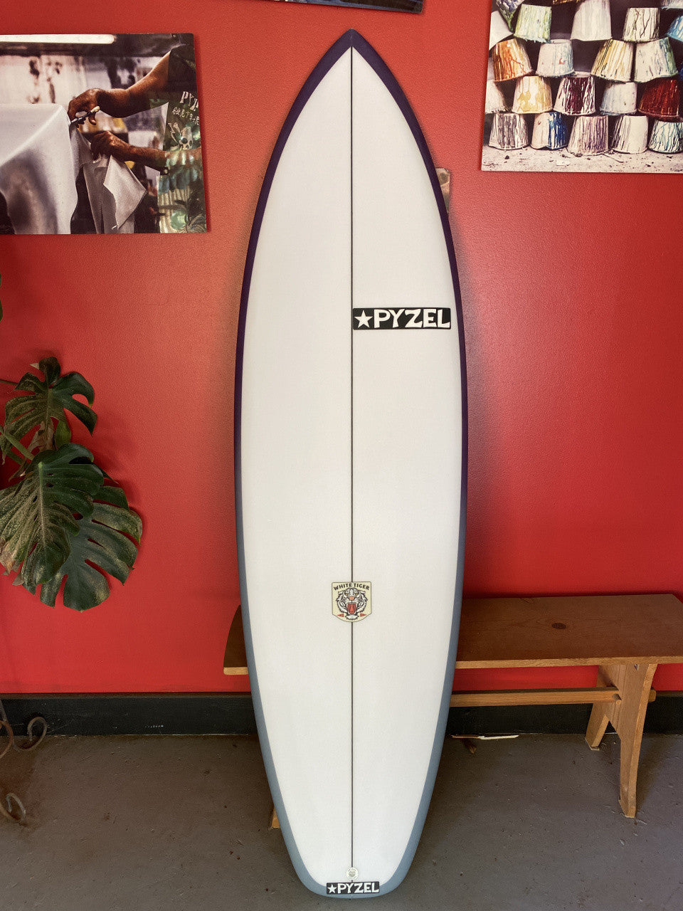CI.N【美品】EPS PYZEL ホワイトタイガー パイゼルwhite White Tiger | 5'5