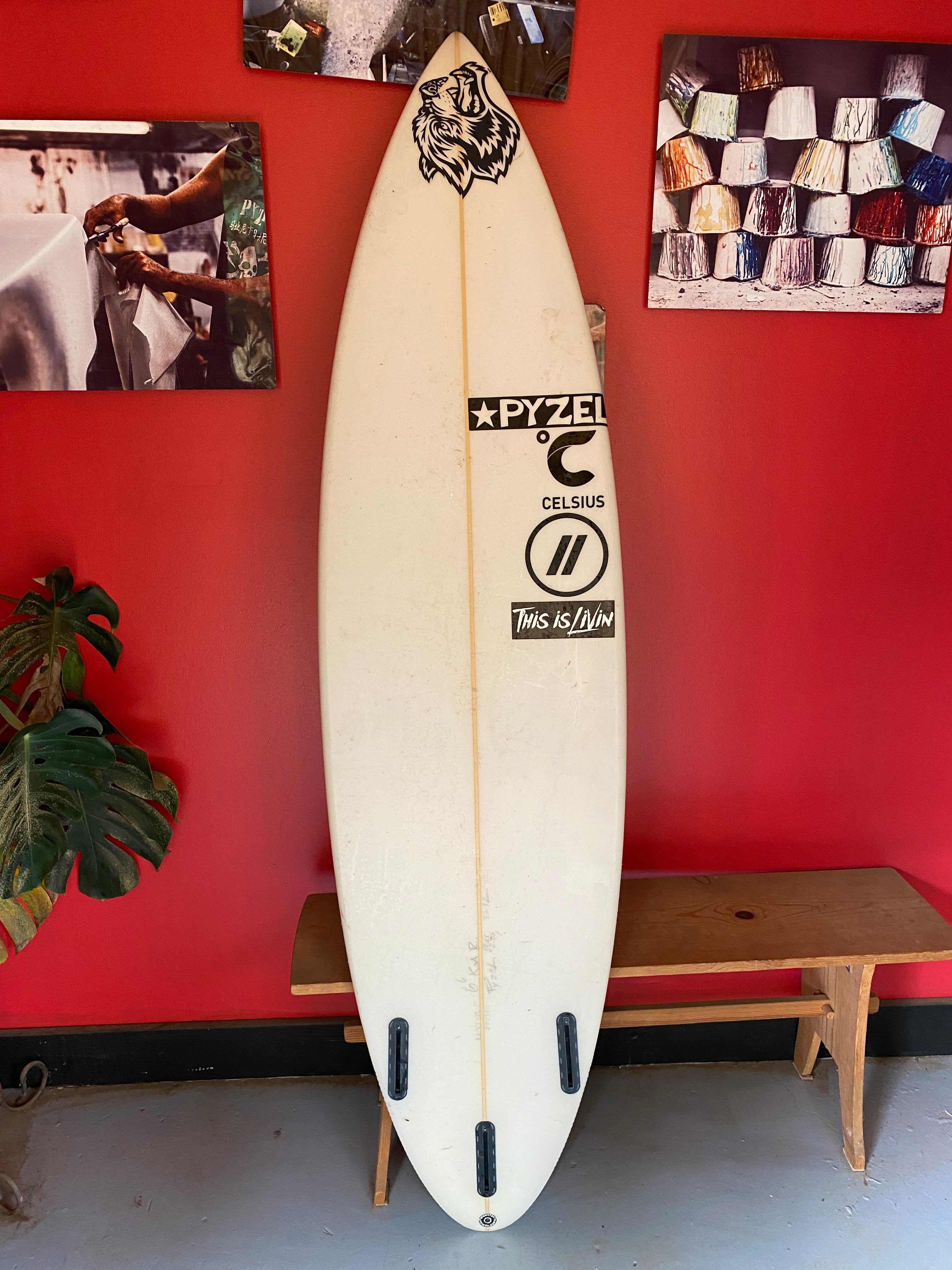 IMG_29682.jpg?v=1767130022&