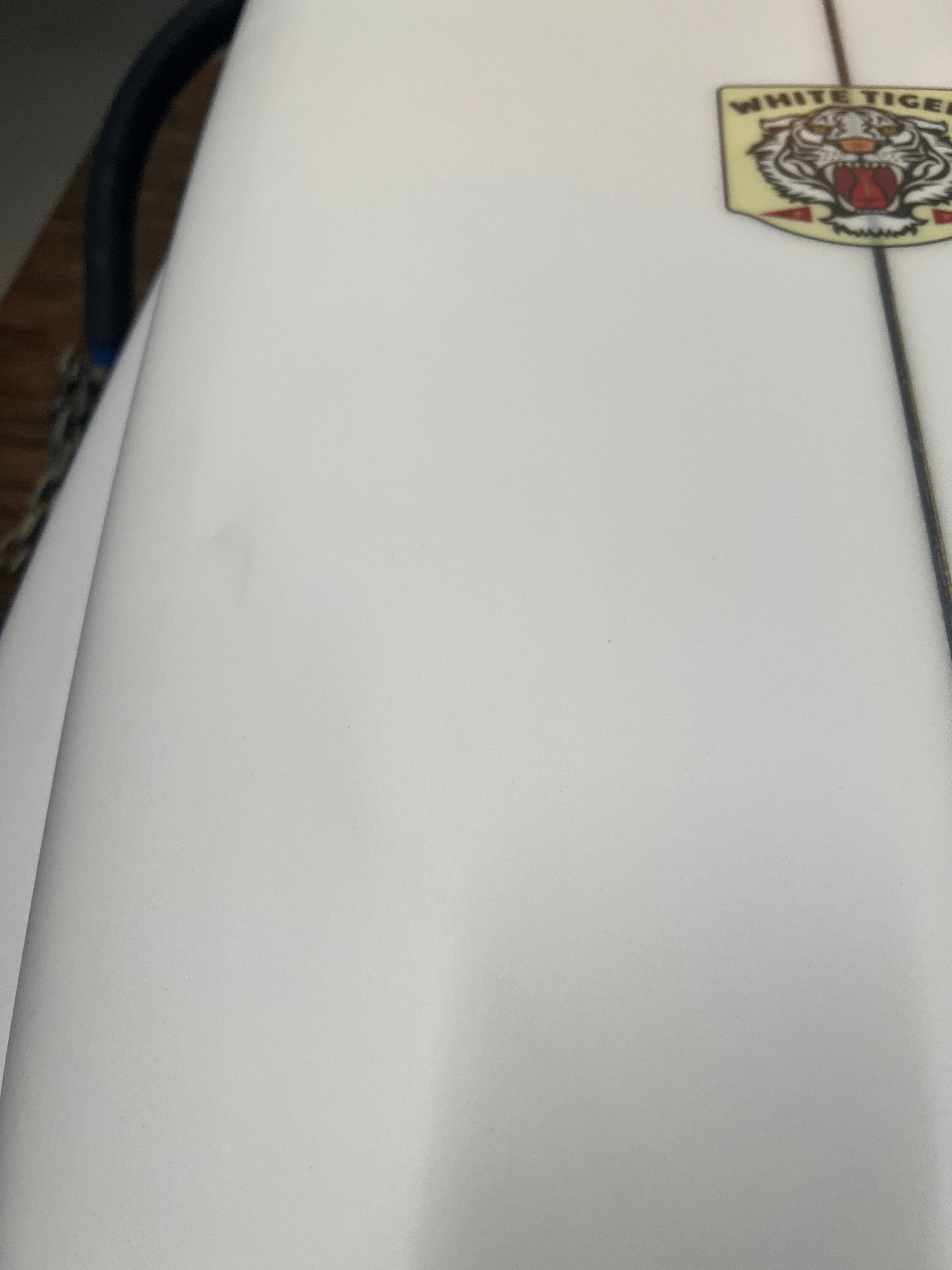 White Tiger | 5'8