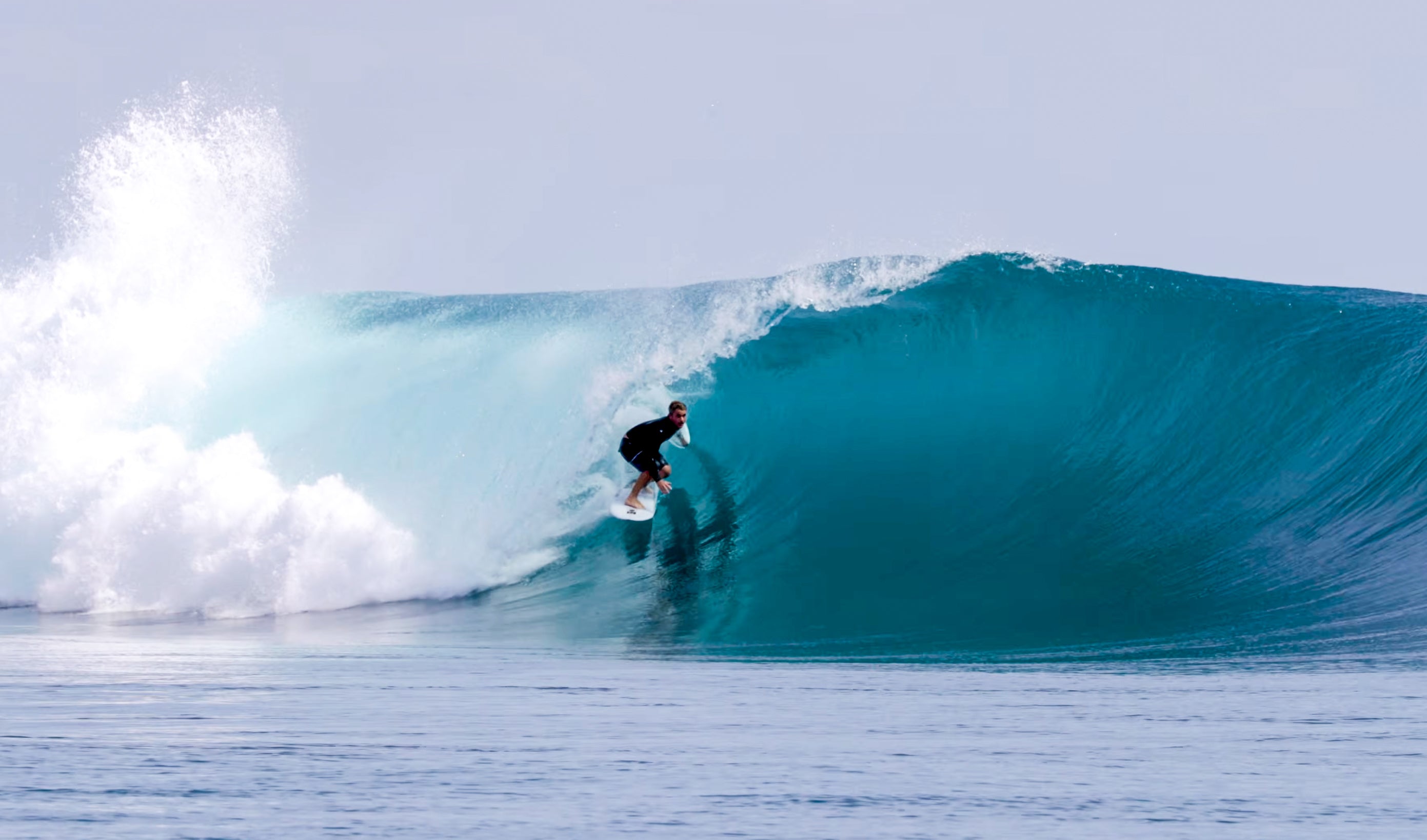 Wildcat – Pyzel Surfboards
